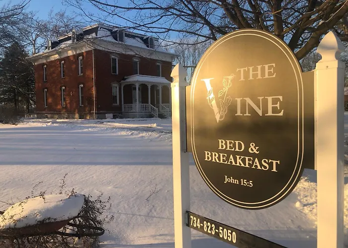 The Vine Bed & Breakfast, Llc